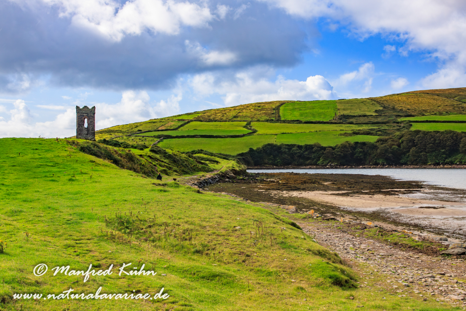 Dingle_Halbinsel (Irland)_0010