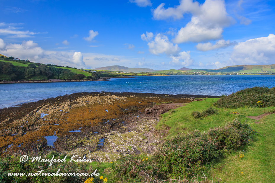 Dingle_Halbinsel (Irland)_0011