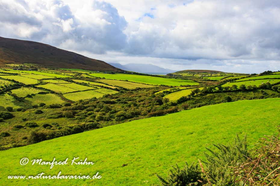 Dingle_Halbinsel (Irland)_0020
