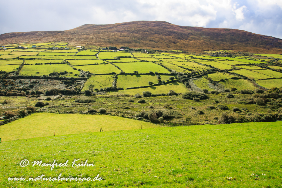 Dingle_Halbinsel (Irland)_0022