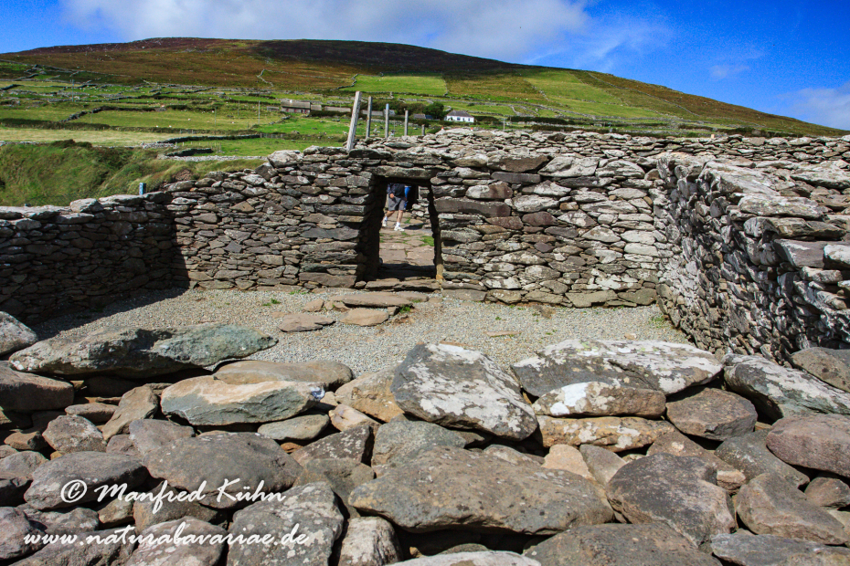 Dingle_Halbinsel (Irland)_0031