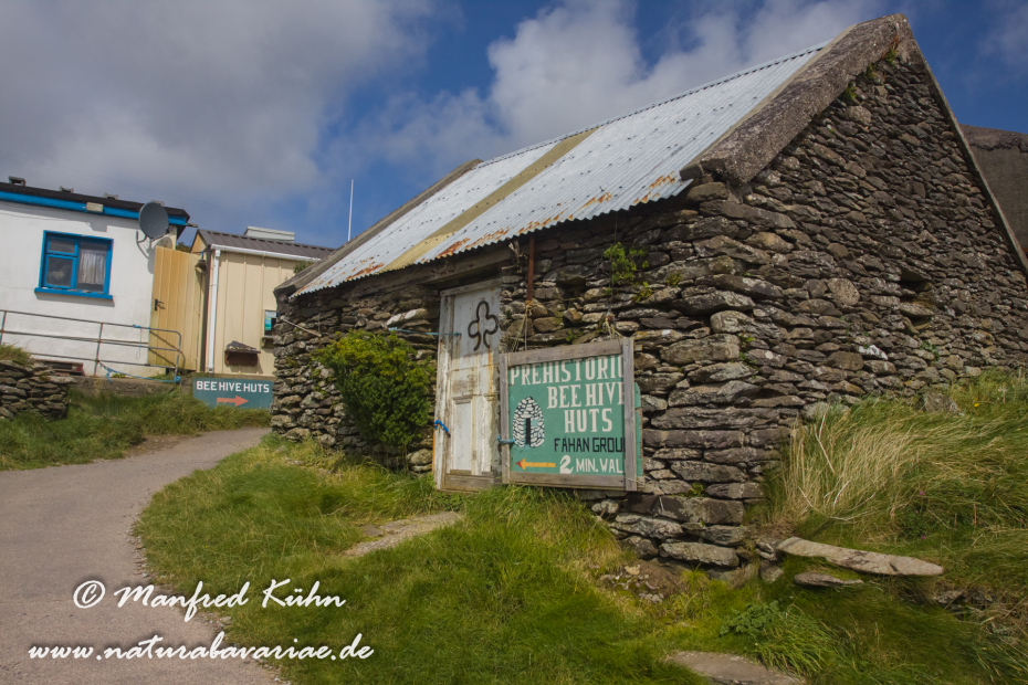 Dingle_Halbinsel (Irland)_0037