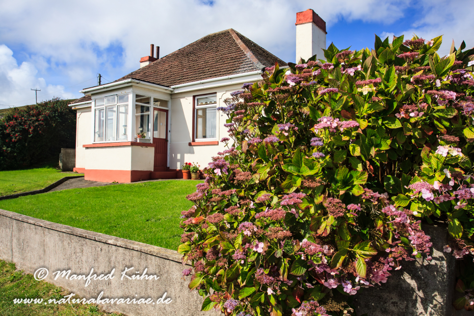 Dingle_Halbinsel (Irland)_0042