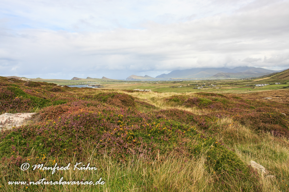 Dingle_Halbinsel (Irland)_0055