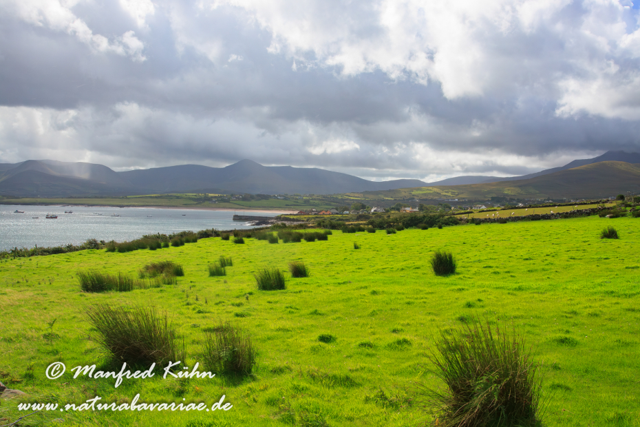 Dingle_Halbinsel (Irland)_0066