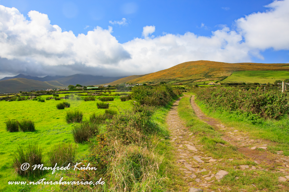 Dingle_Halbinsel (Irland)_0067