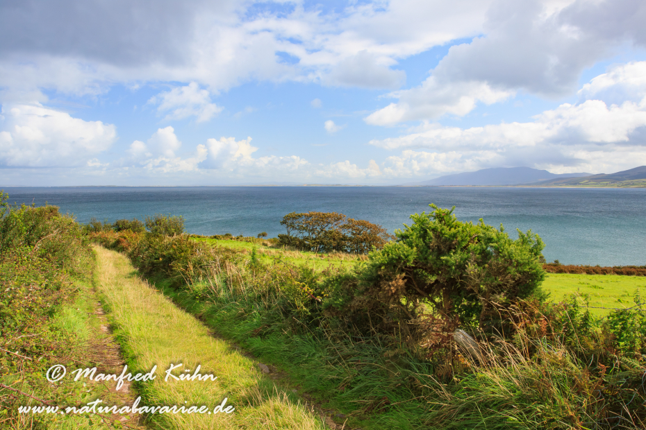 Dingle_Halbinsel (Irland)_0069