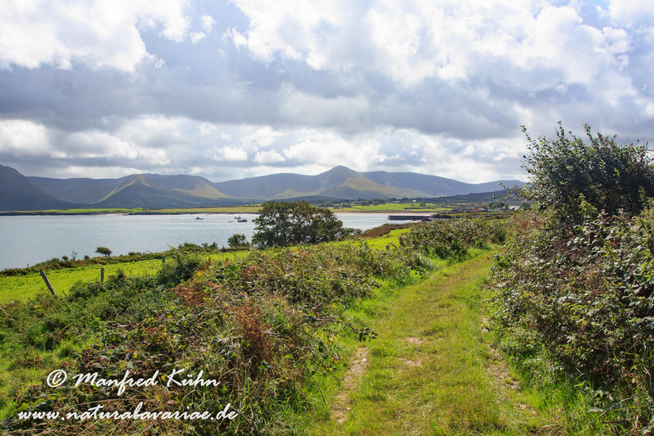 Dingle_Halbinsel (Irland)_0070