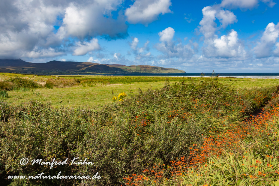 Dingle_Halbinsel (Irland)_0086