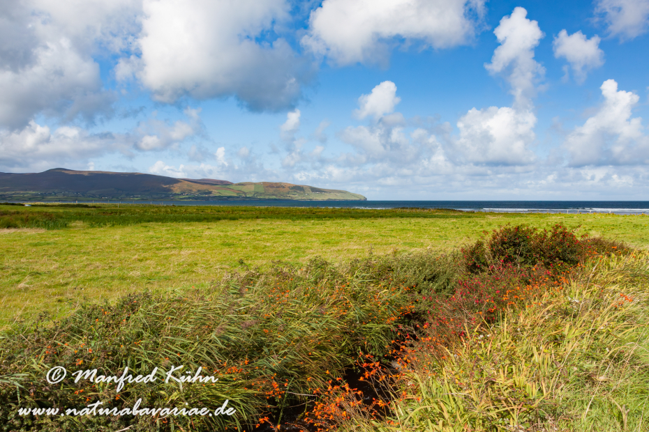 Dingle_Halbinsel (Irland)_0088