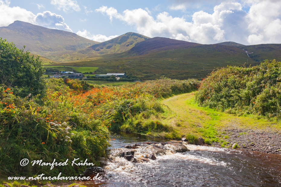 Dingle_Halbinsel (Irland)_0089
