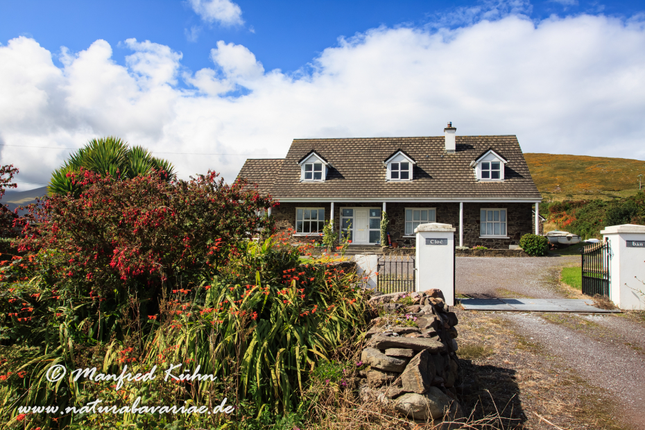 Dingle_Halbinsel (Irland)_0091