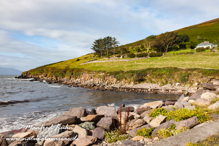 Dingle_Halbinsel (Irland)_0093