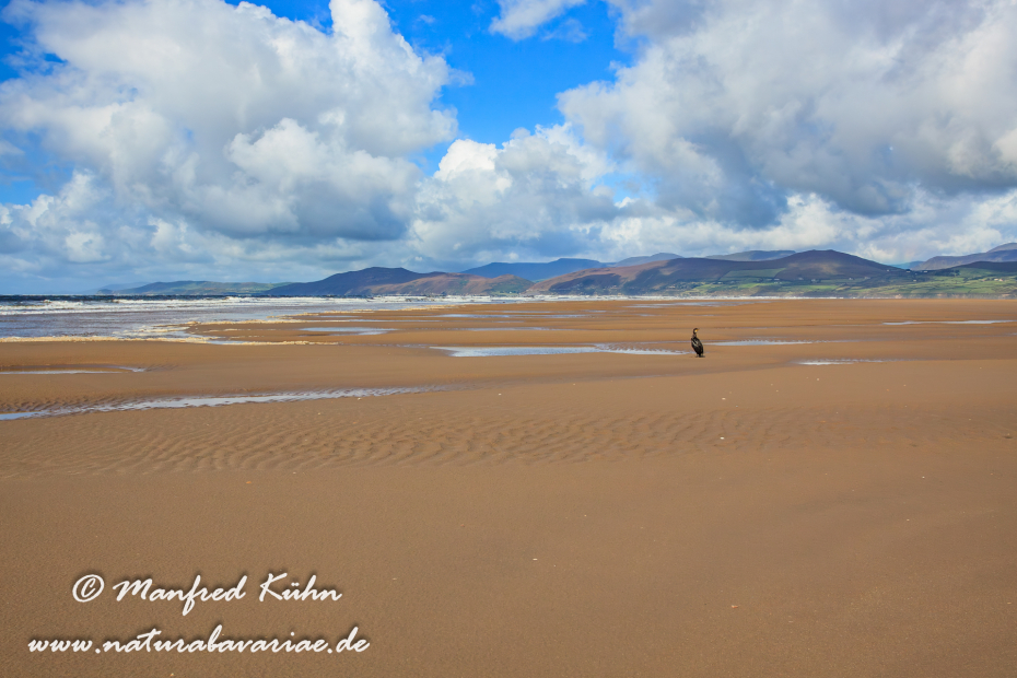 Dingle_Halbinsel (Irland)_0096