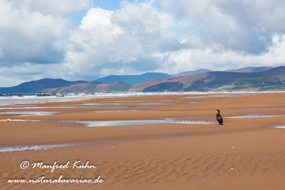 Dingle_Halbinsel (Irland)_0097