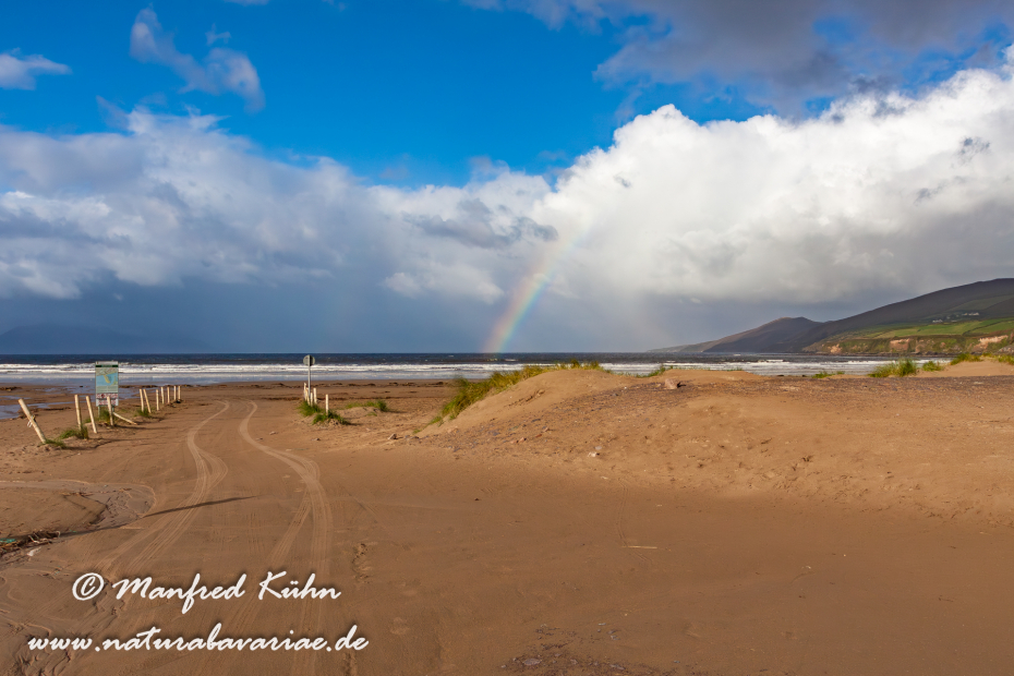 Dingle_Halbinsel (Irland)_0104