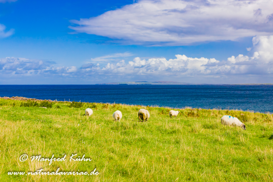 Dingle_Halbinsel (Irland)_0111