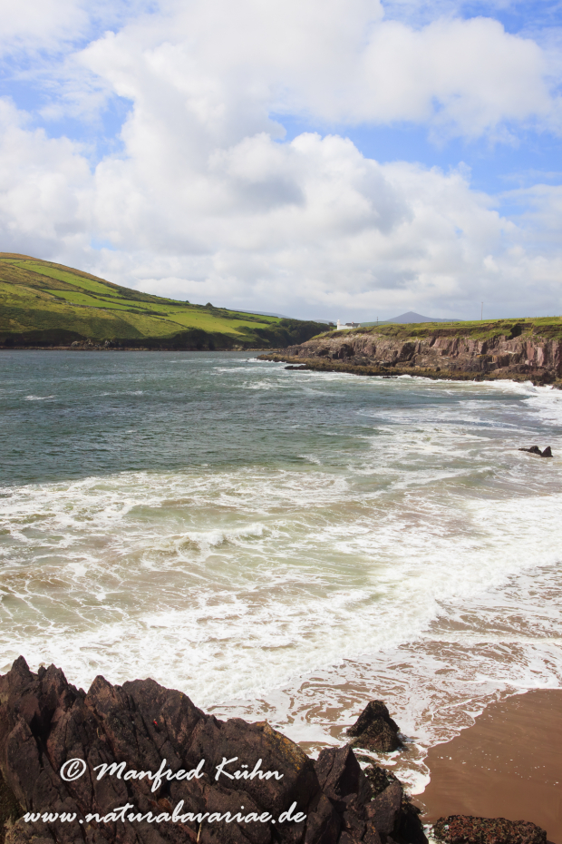 Dingle_Halbinsel (Irland)_0127