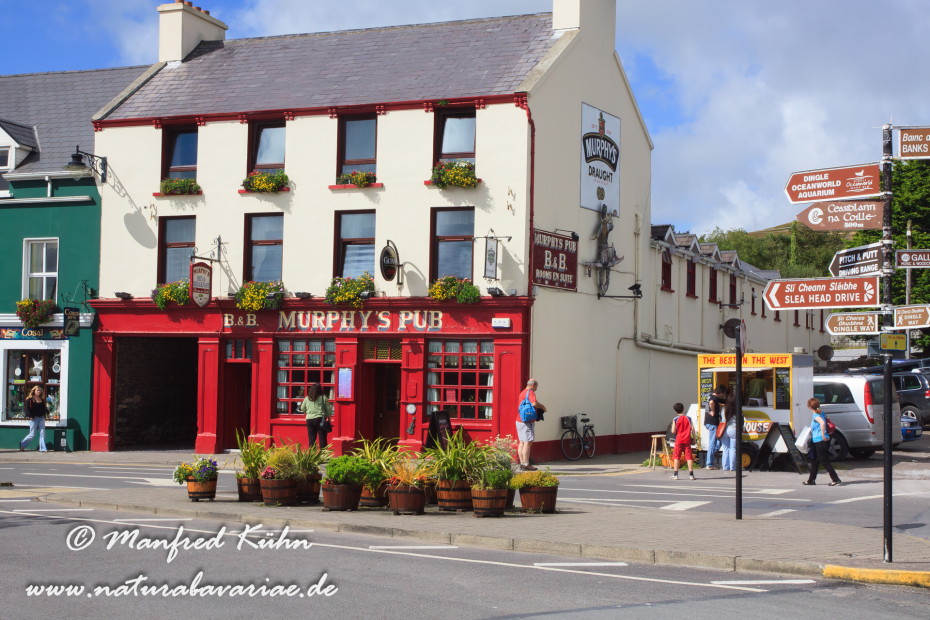Dingle_Halbinsel (Irland)_0130