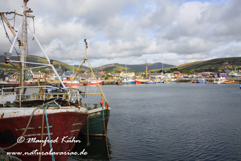 Dingle_Halbinsel (Irland)_0131
