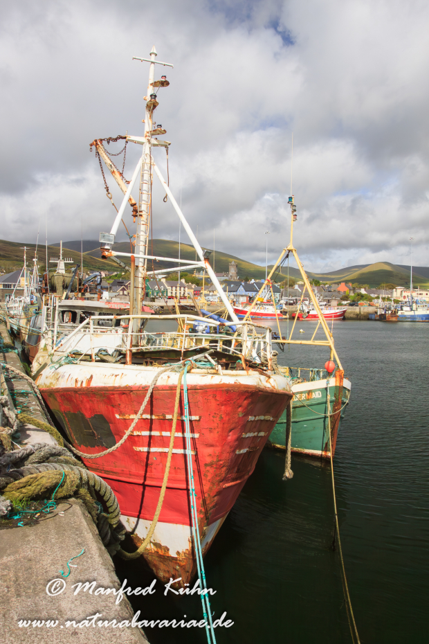 Dingle_Halbinsel (Irland)_0132