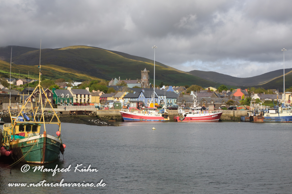 Dingle_Halbinsel (Irland)_0133