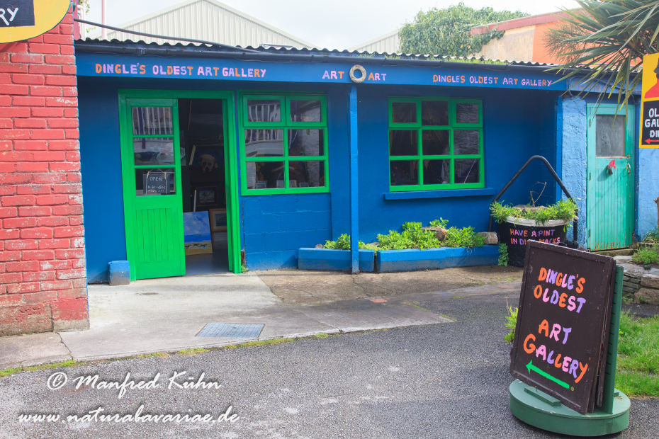 Dingle_Halbinsel (Irland)_0134