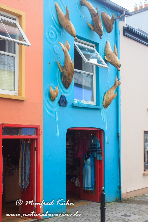 Dingle_Halbinsel (Irland)_0142