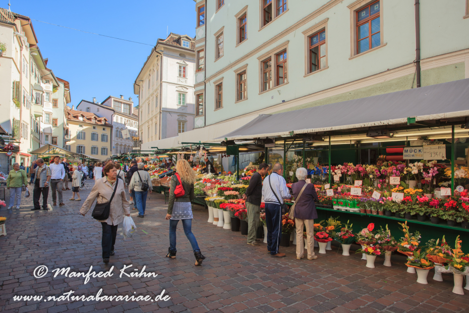 Bozen (Südtirol)_0213