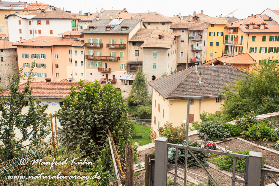 Fondo (Trentino)_0005