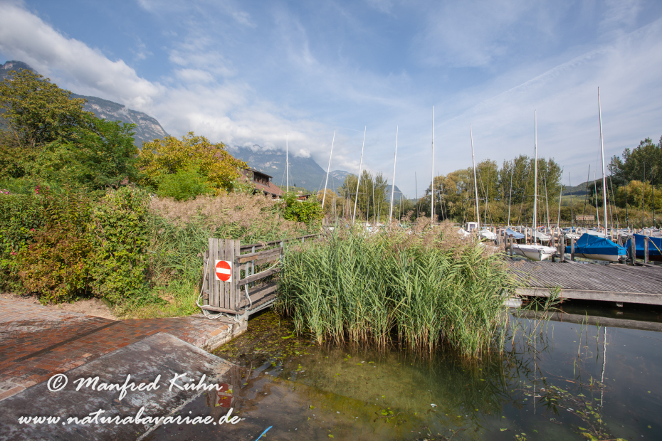 Kalterer See (Südtirol)_0001