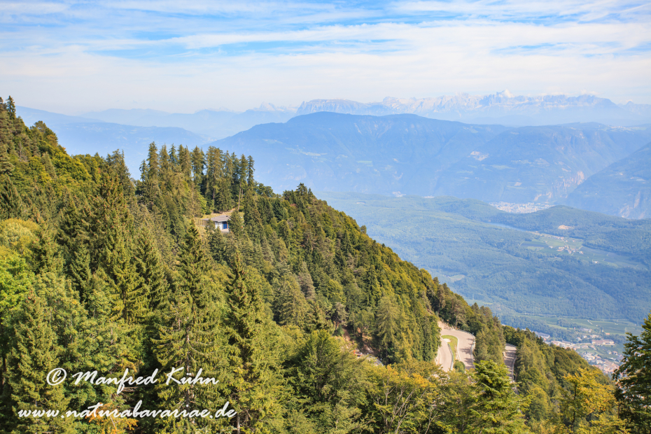 Mendelpass (Trentino)_0002