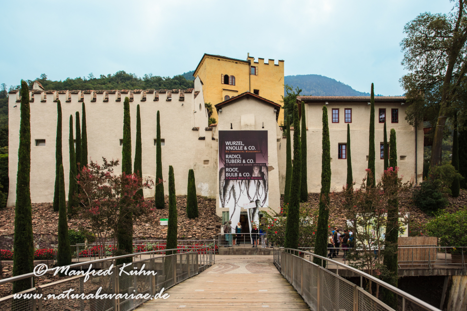 Meran (Südtirol)_0001