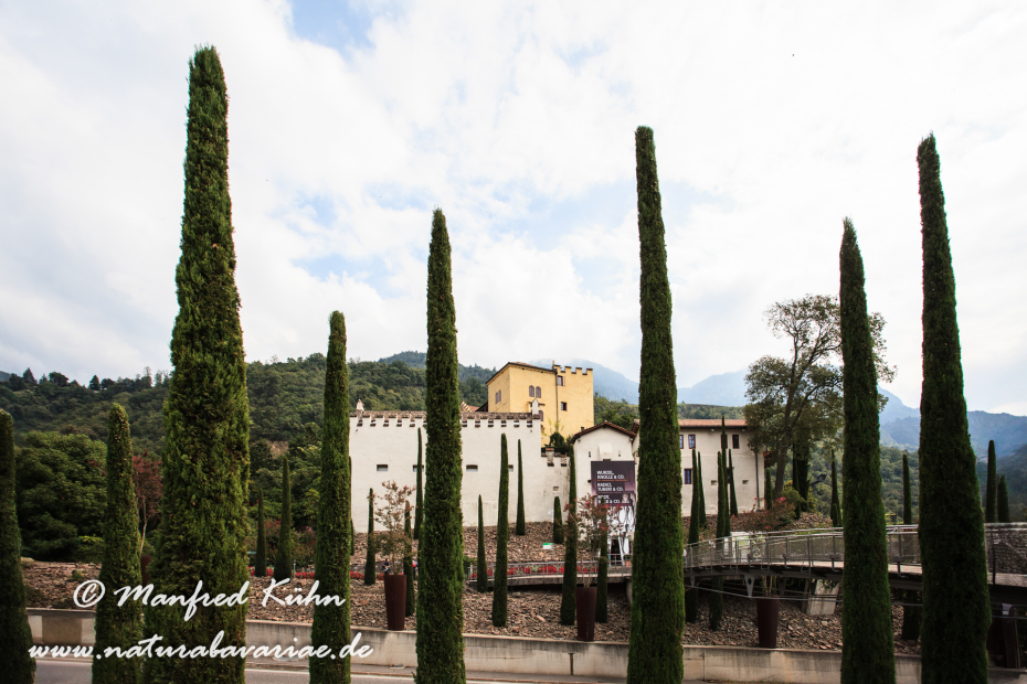 Meran (Südtirol)_0014