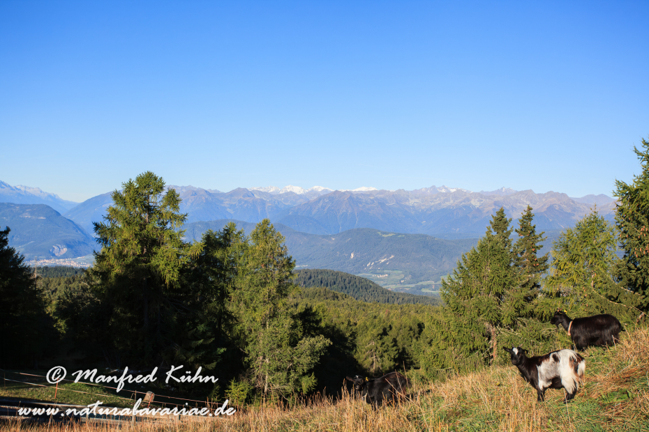 Monte Penegal (Trentino)_0004