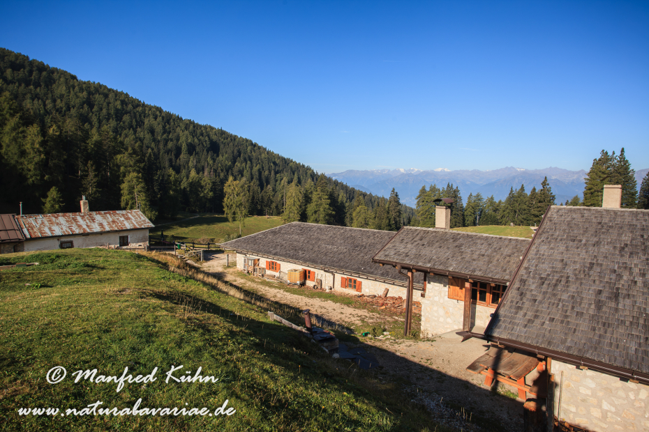 Monte Roen (Trentino)_0002