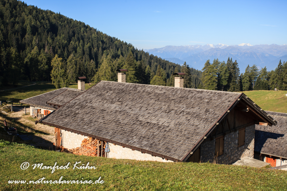 Monte Roen (Trentino)_0006