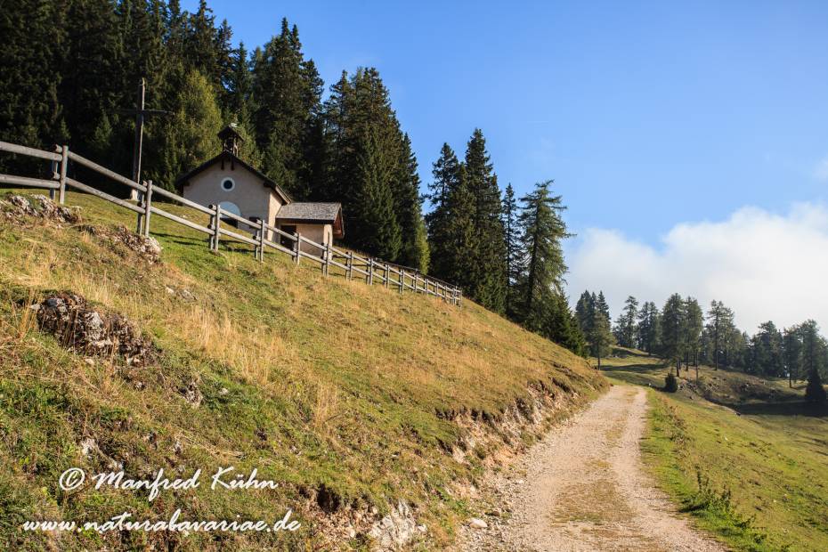 Monte Roen (Trentino)_0008