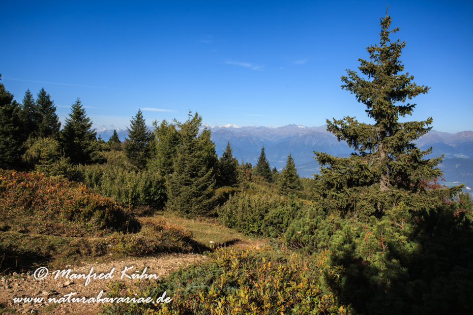 Monte Roen (Trentino)_0012