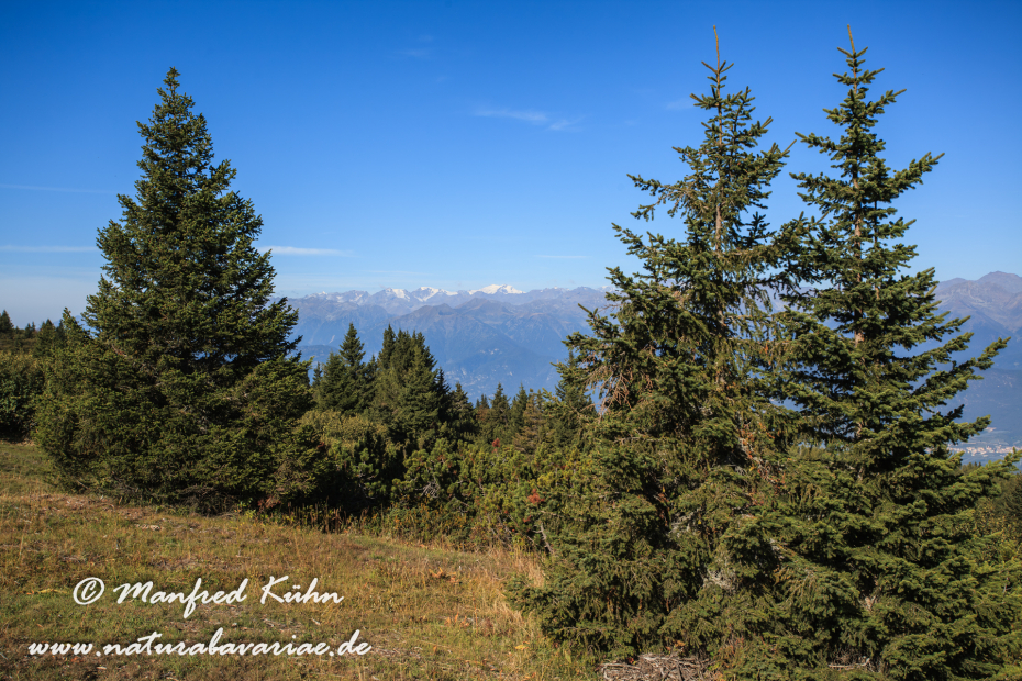 Monte Roen (Trentino)_0013