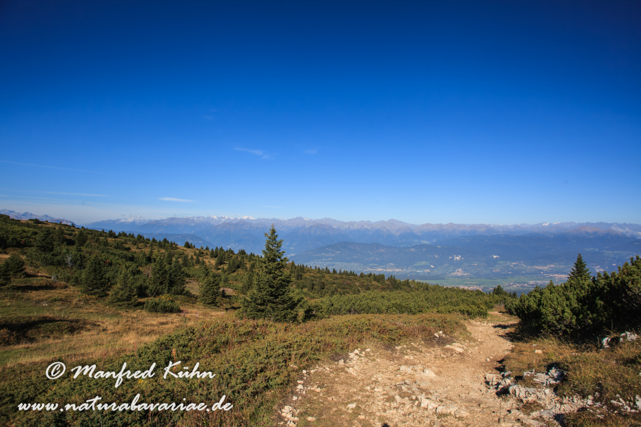 Monte Roen (Trentino)_0014