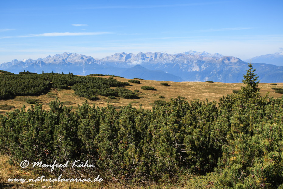 Monte Roen (Trentino)_0015