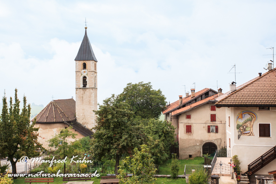 Ronzone (Trentino)_0001