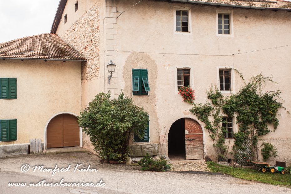 Ronzone (Trentino)_0007
