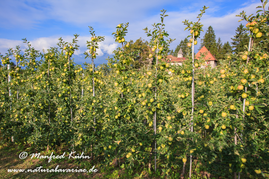Val di Non (Trentino)_0025