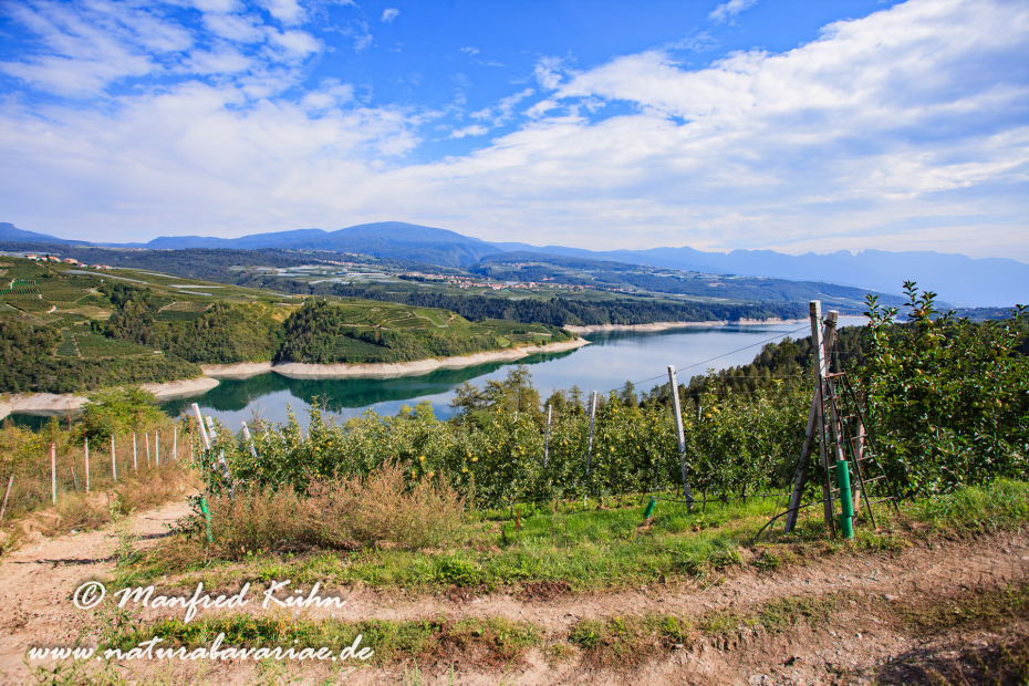 Val di Non (Trentino)_0027