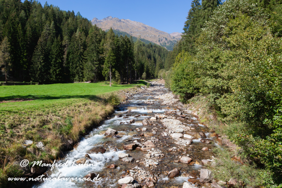 Val di Rabbi (Trentino)_0002