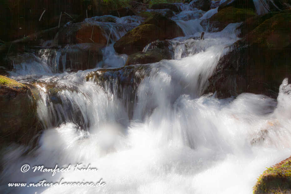 Val di Rabbi (Trentino)_0011