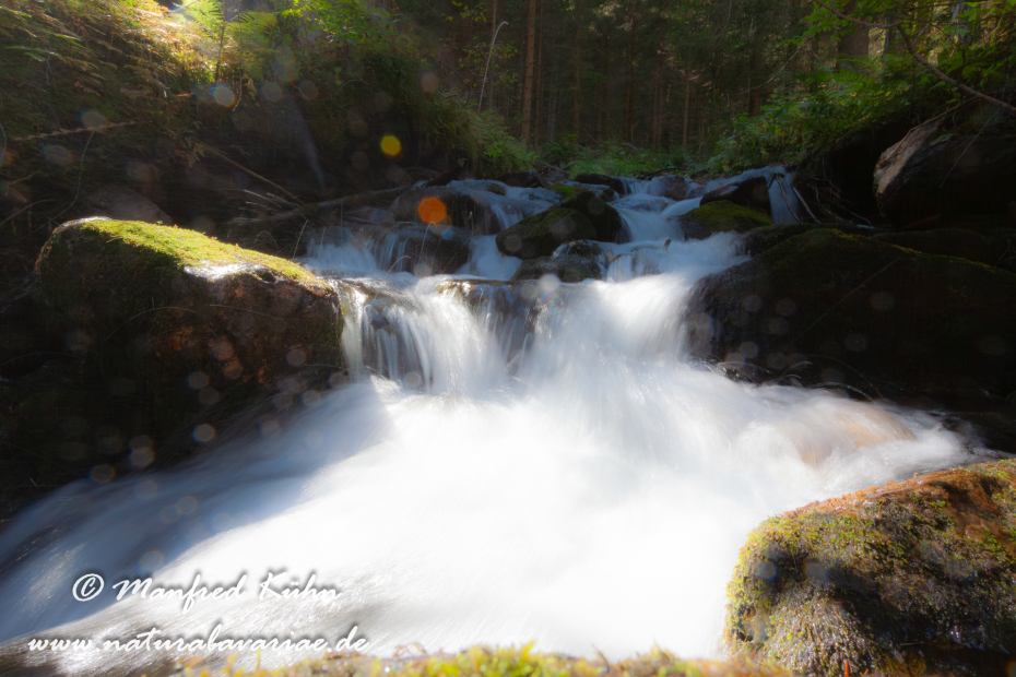Val di Rabbi (Trentino)_0013