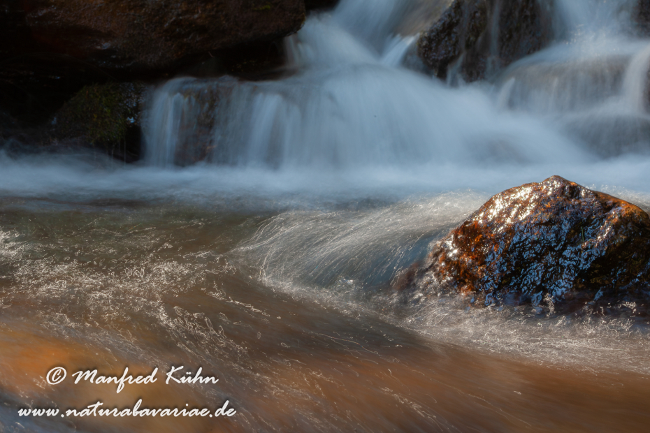 Val di Rabbi (Trentino)_0015